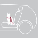 Auto-Sicherheitsgeschirr f&uuml;r Katzen rot 20-50 cm/15 mm