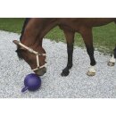 Pferdespielball lila mit Minzgeschmack