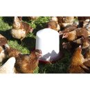 Kunststoff-Tränke 10 l für Küken und Hühner