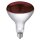 Infrarotlampe 150W Hartglas, rot