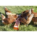 Futtertrog für Hennen Rot Kunststoff 75 x12 cm