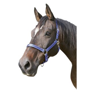 Halfter Mustang, Pony 2fach verstellbar, blau/schw.