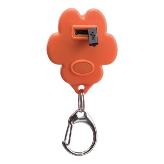 USB Flasher für Hunde 3,5 × 4,3 cm